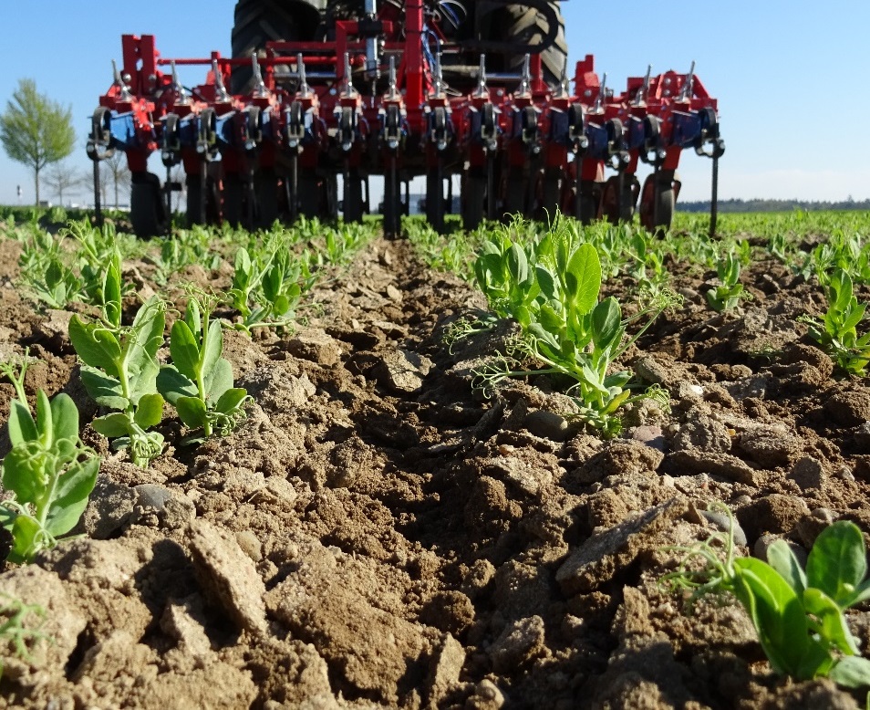 ITADA - Mechanische Beikrautregulierung mit der Hacke