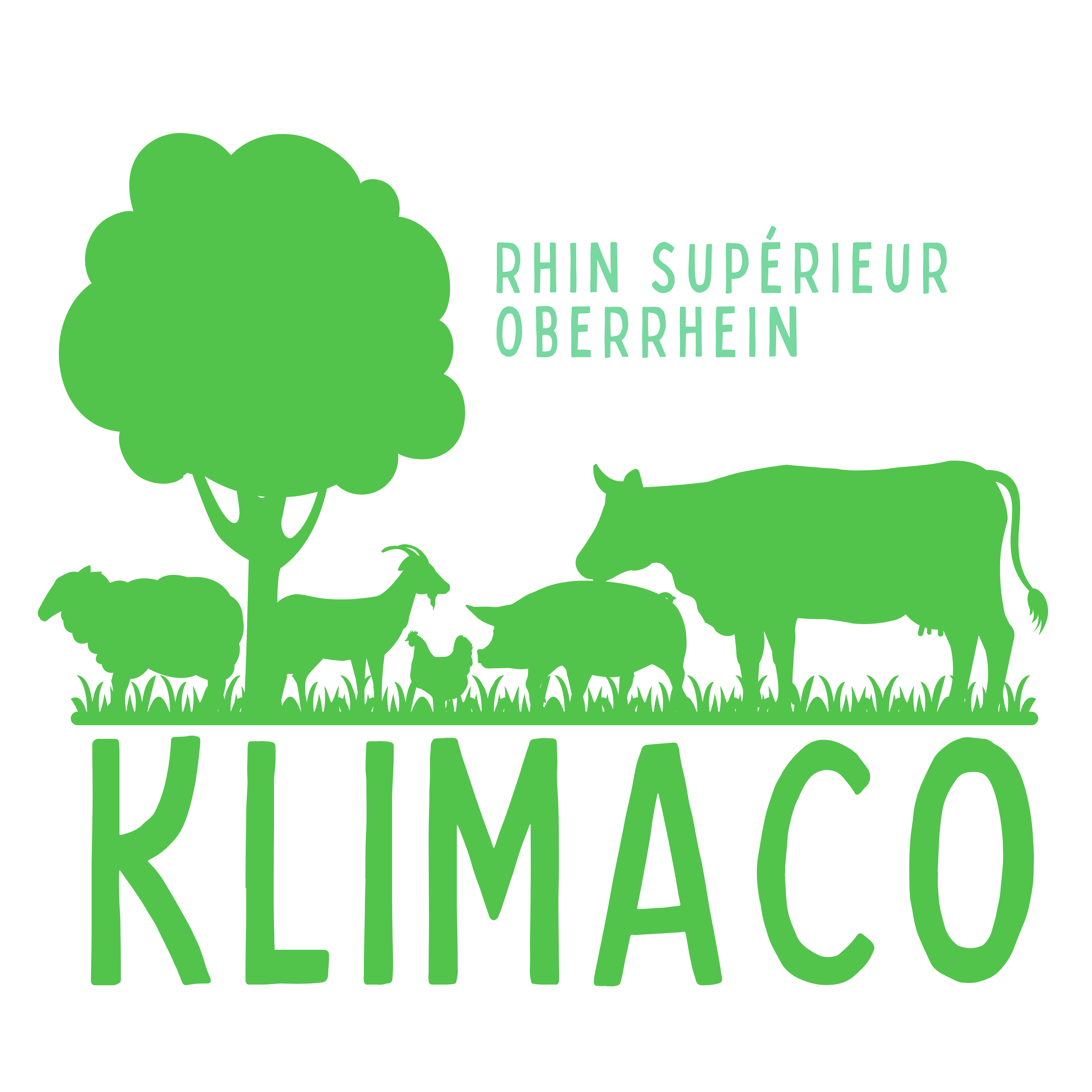KLIMACO – Construire et accompagner la résilience climatique de l’élevage du Rhin supérieur