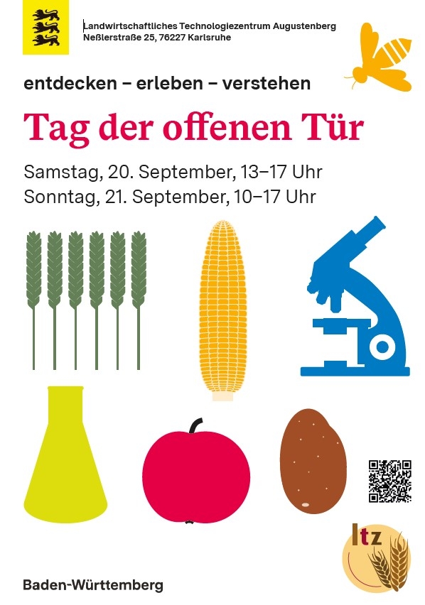 Flyer screenshot 2025-09-20-21