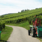 Vignoble du Stierkopf 150x150