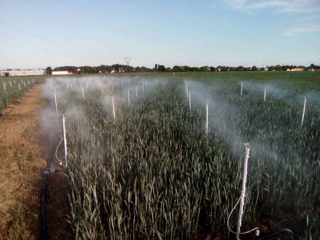 Innovation agroécologique