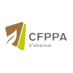 Carre cfppa obernai coul rvb