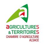Carre logo CA ALSACE RVB