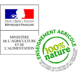 Logo draaf 100