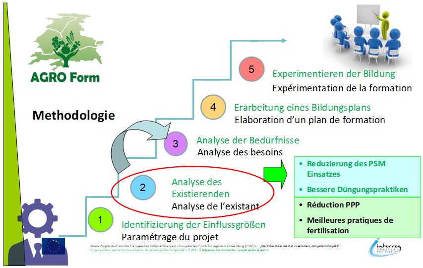 Schema formation