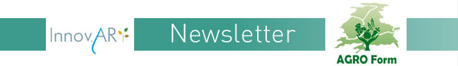 header-newsletter2
