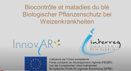 Vidéo biocontrole e1615213036566