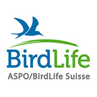Logo bird life