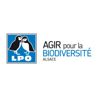 Logo lpo