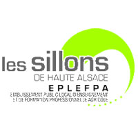 Logo sillons