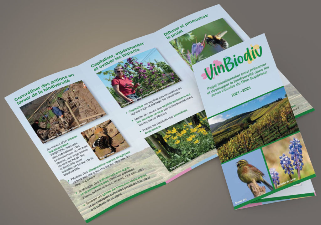 Flyer VinBioDiv