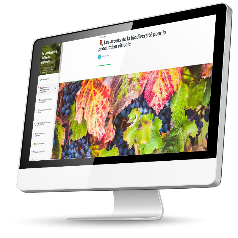Site de formation