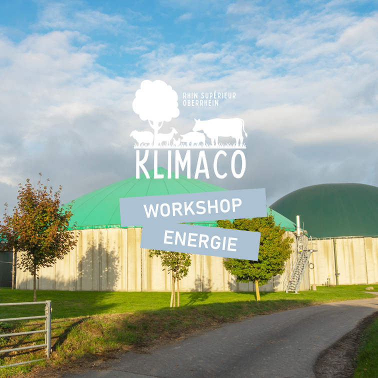 WorkshopEnergie FR DE
