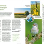 NH 2022 Artikel