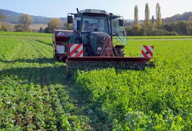 [Artikel] Klimacrops und Resicow bereiten eine resiliente Landwirtschaft vor