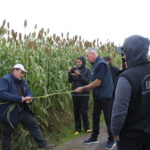 IMG 7203