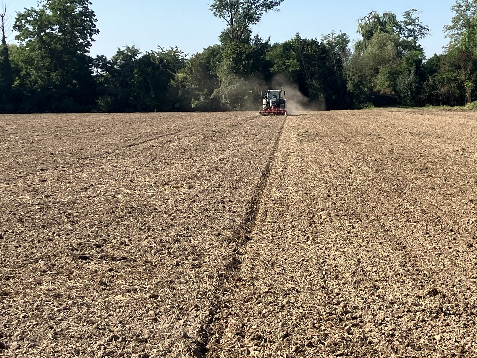 Site 2: Freiburg Mundenhof   Implantation de la vesce couronnée en fin d'année (07 09 2023) après la récolte des céréales (blé d'hiver)   Levée de la vesce couronnée le 22 09 2023   Semis de la culture principale de maïs prévus au printemps 2024 (avril) 