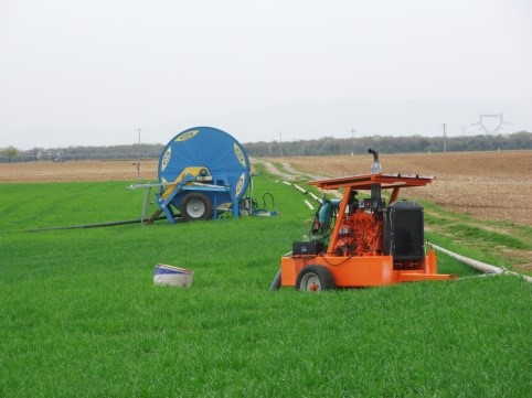 Irrigation 1