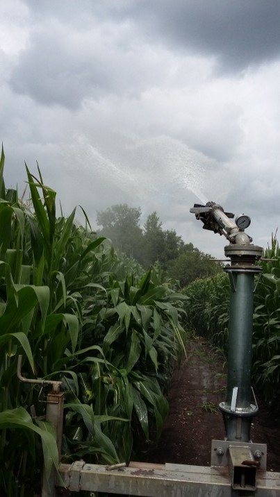 Irrigation 4