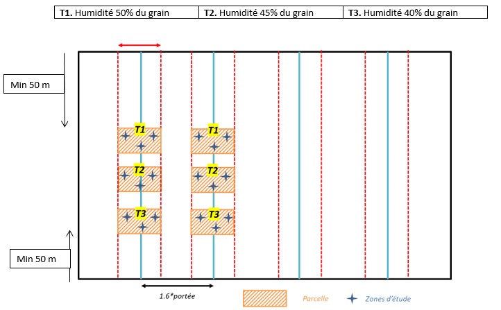 Irrigation 5