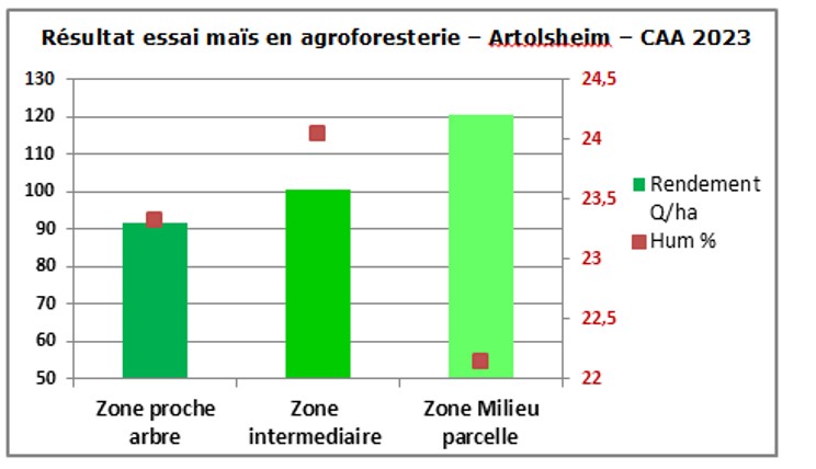 Resultats essais agroforesterie