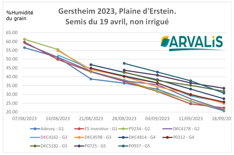 variete-de-mais-3 Variete de mais 3