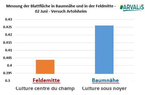 Agroforesterie de 3