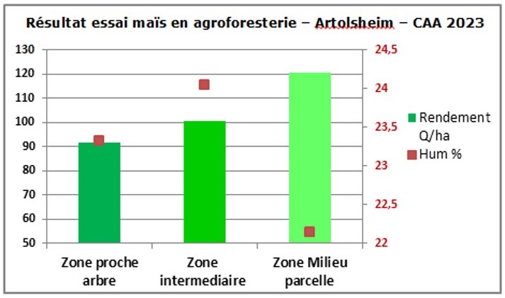 Agroforesterie de 4