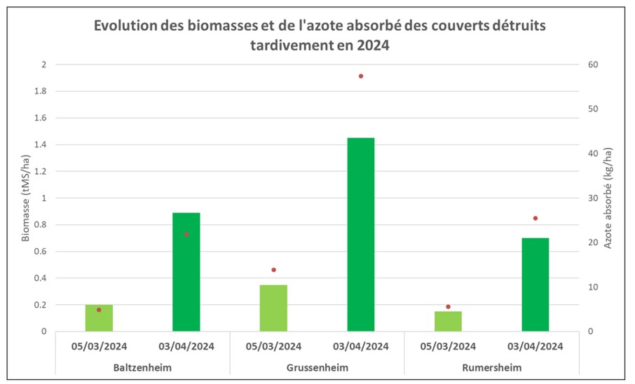 KLIMAKROPS   Evolution des biomasses et de l’azote absorbé des couverts détruits tardivement en 2024