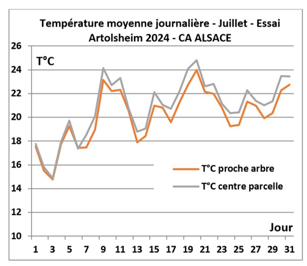KLIMAKROPS   Température journalière 1