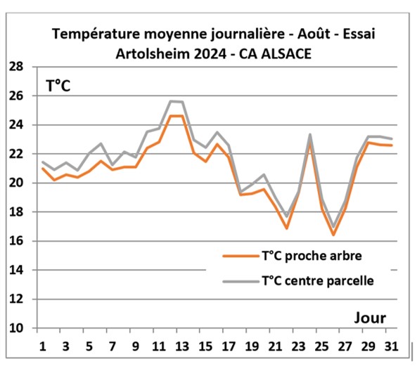 KLIMAKROPS   Température journalière 2