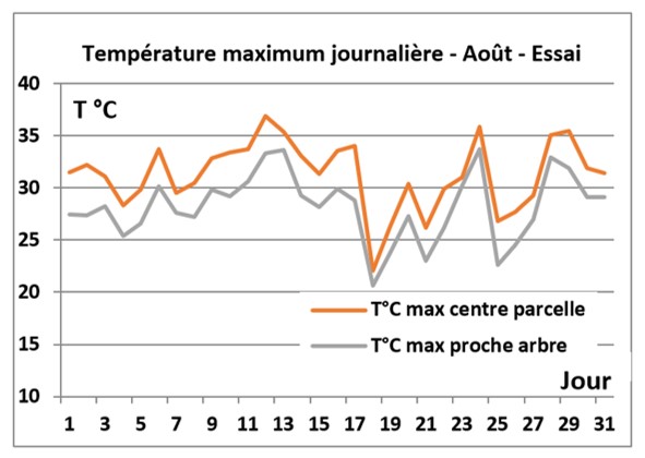 KLIMAKROPS   Température journalière 3