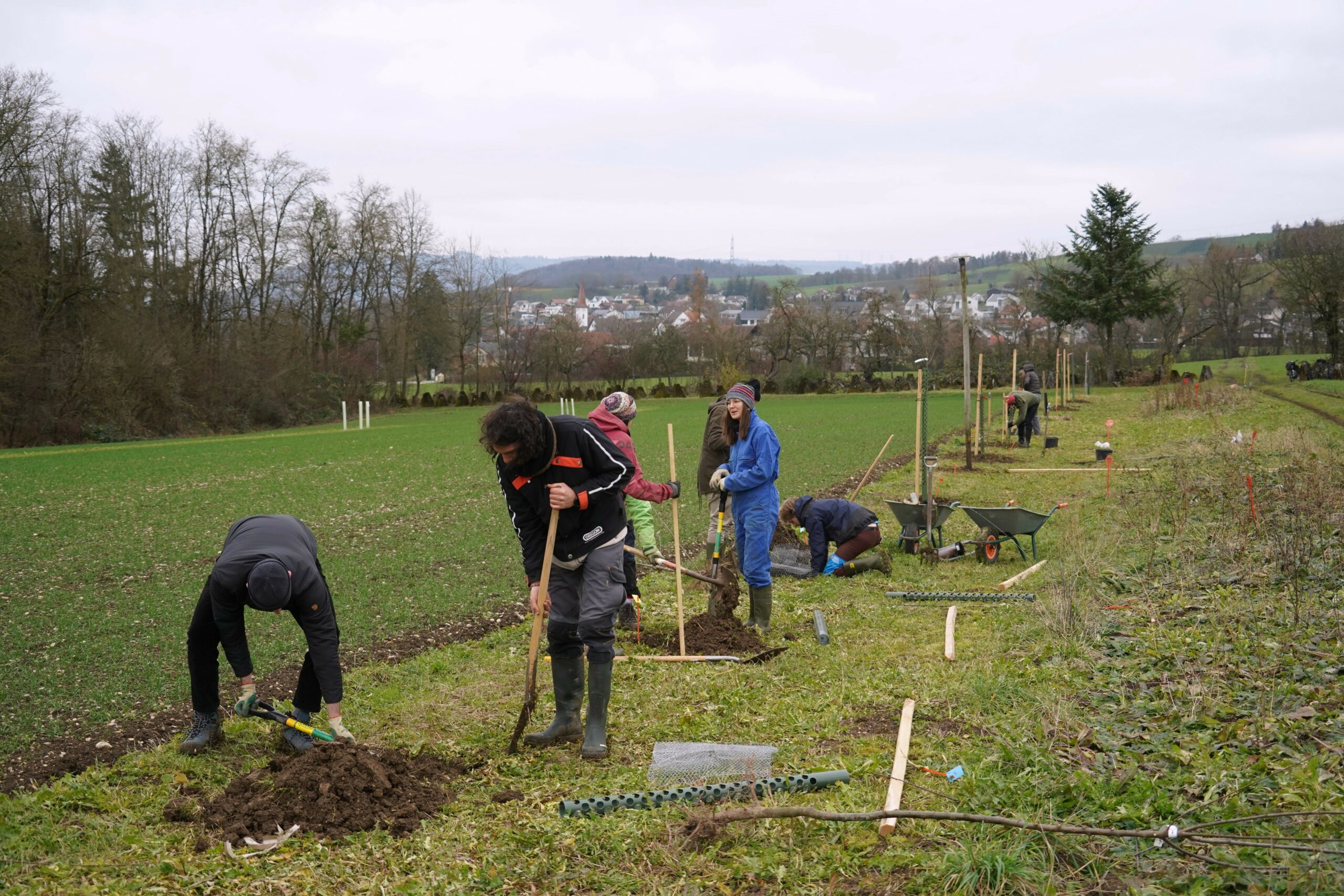 Photo4 Agroforesterie Plantation Déz2024