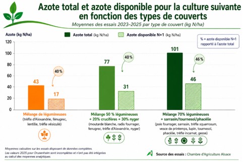 Azote totale
