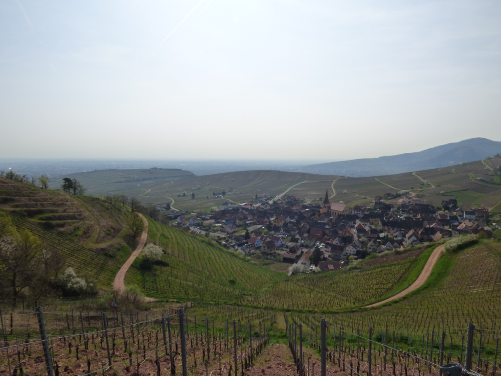 COLLOQUE-ITADA : LA VITICULTURE EN CRISE - QUELLES SOLUTIONS ÉCONOMIQUES ?